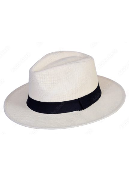 Demo Hat Three